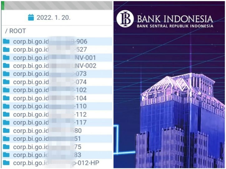 Data Bank Indonesia Diretas