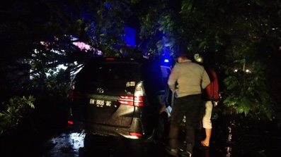 Mobil Plat BM Tertimpa Pohon Tumbang di Payakumbuh, 5 Orang Terluka