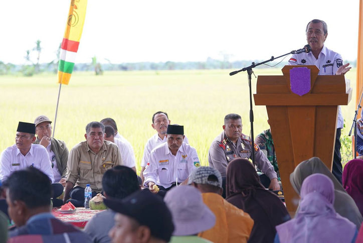 Gubernur Riau Syamsuar memberikan sambutan sebelum memulai kegiatan panen raya padi di Kecamatan Bunga Raya, Siak, Rabu (14/12/2022(.