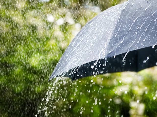 Potensi Hujan Lebat Disertai Petir dan Angin Kencang di Riau Hari Ini