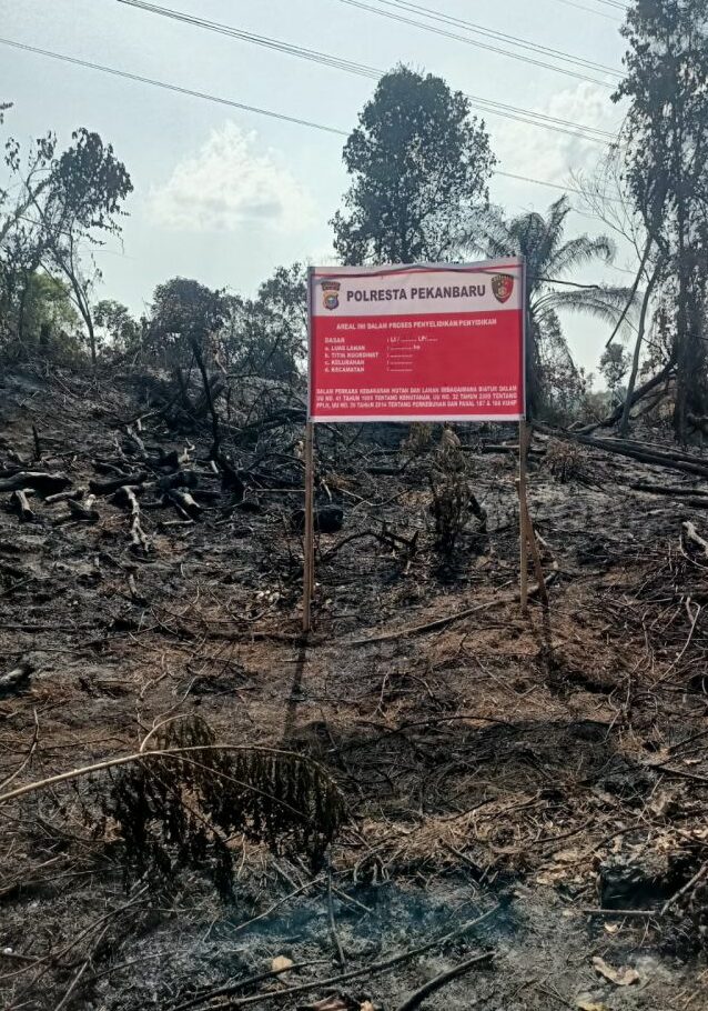 Petani Sayur Ditangkap Setelah Membakar Lahan PT Pertamina Hulu Rokan
